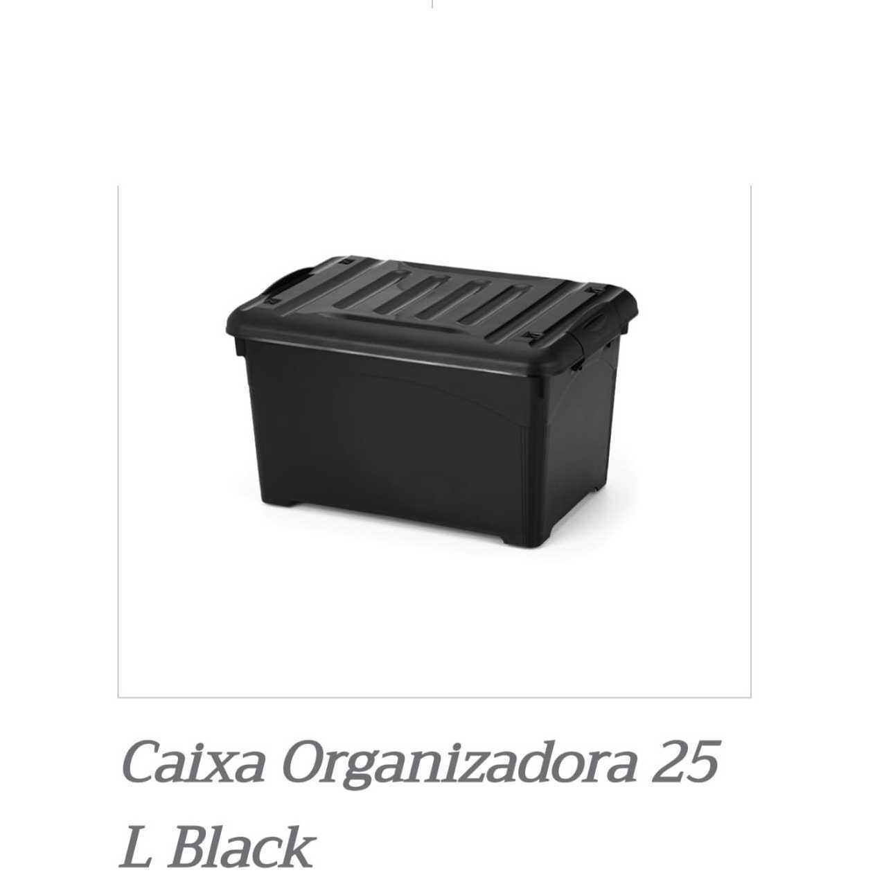PL CX ORGANIZ. 25 L BLACK 1810R C/RODA